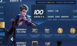 王者网友爆料视频下载