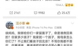 汪小菲微博爆料视频,揭秘背后惊人真相